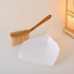 Dustpan with broom